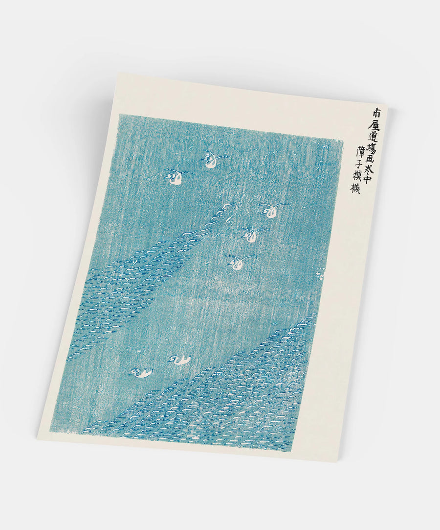 Taguchi Tomoki, Yatsuo no Tsubaki, light blue